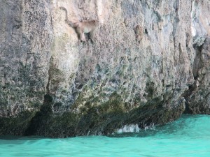 Koh Phi Phi-091